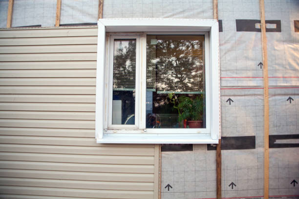Trusted Dillingham, AK Siding Installation & Repair Experts