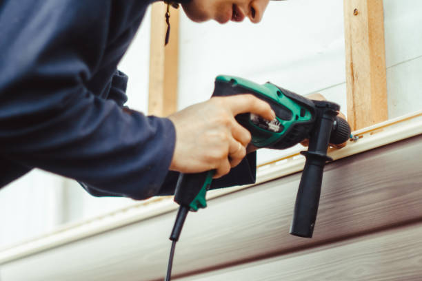 Best Steel Siding Installation  in Dillingham, AK